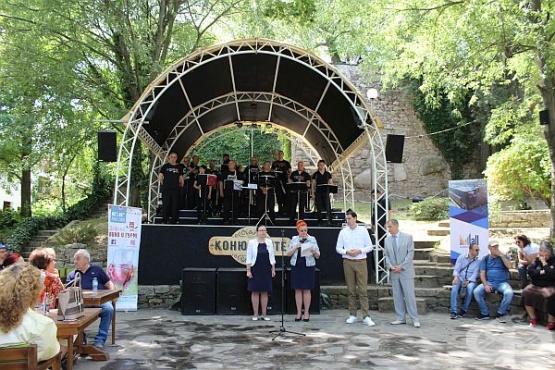 Фото обиколка на Дефиле "Вино и гурме" - винено-кулинарна празничност, умело съчетана с история, култура и традиции - изображение