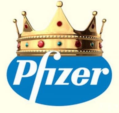   2010 ,   Pfizer Inc  King Pharmaceuticals Inc. - 