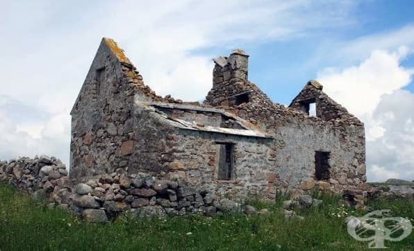 Големият глад в Ирландия - изображение