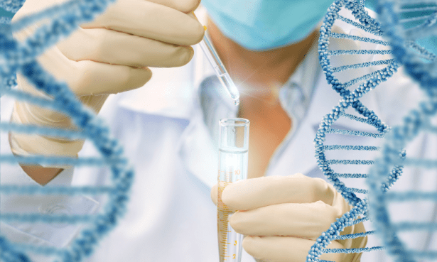 ДНК анализ разкрива болестите, покосили войската на Наполеон през 1812-а - изображение