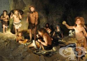 История на неандерталеца - изображение