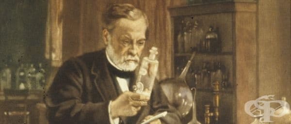 Жозеф Мейстер: пациентът, лекуван от Луи Пастьор през 1885 година - изображение