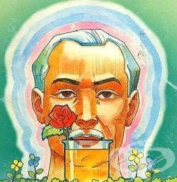 Хипотези и суеверия за полезните свойства на урината - изображение