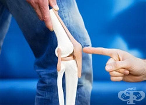 Как да храним ставите - изображение