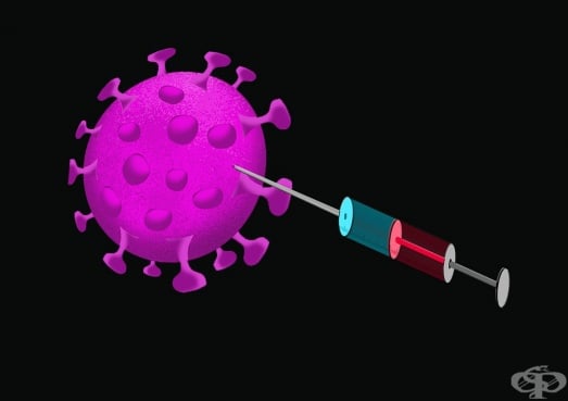 Ще се ваксинирате ли срещу COVID-19? - изображение