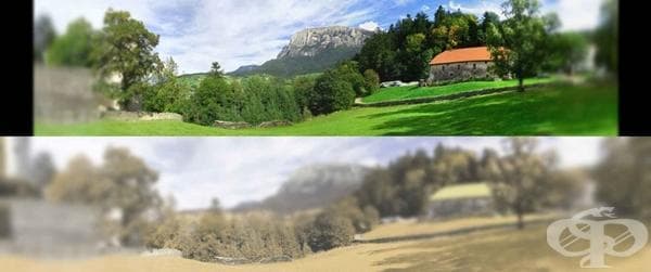 Вижте света през очите на котките - изображение