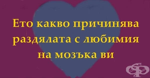Ето какво причинява раздялата с любимия на мозъка ви (инфографика) - изображение