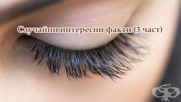 Случайни интересни факти (3 част) - изображение