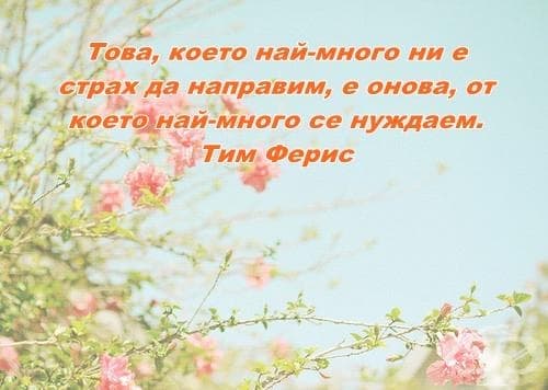 40 вдъхновяващи мисли за всеки ден, с които работната ви седмица да мине по-лесно - изображение