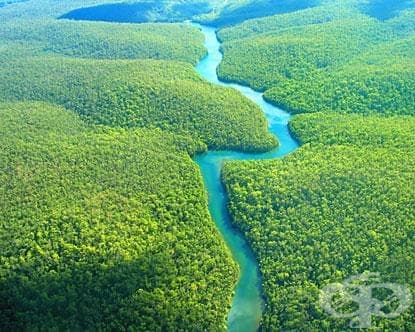 6 климатични промени, които ще предизвикат световна катастрофа, ако действително се случат - изображение