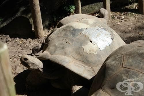 23 приложения на армираната лента (duct tape), за които едва ли сте се сещали - изображение