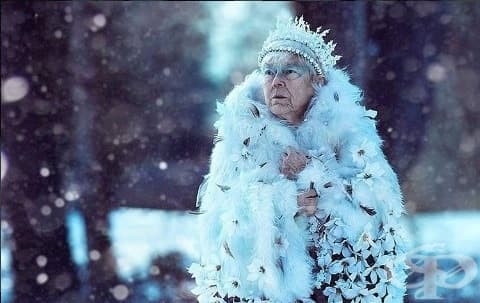 Зимна приказка: Внучка преобрази болната си баба в Снежната кралица - изображение