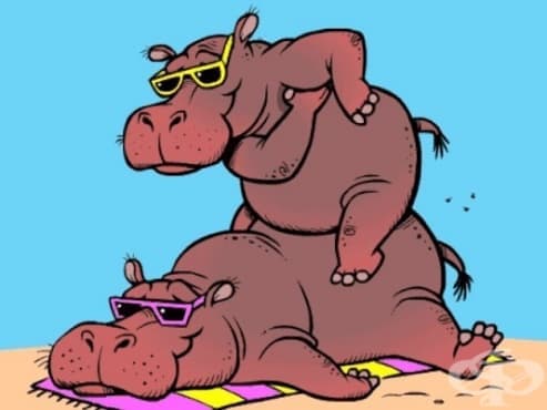 15 забавни факта за животните, които никога не сте чували през живота си! - изображение