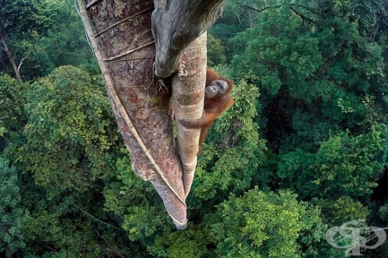 National Geographic   National Geographic Traveler Photo - 