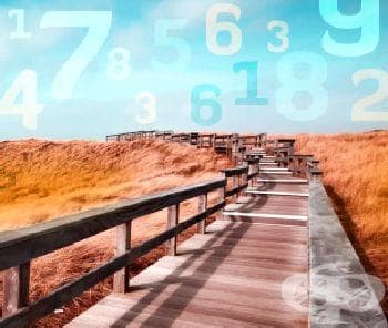 Нумерология: Какъв е жизненият път на живота ви? - изображение