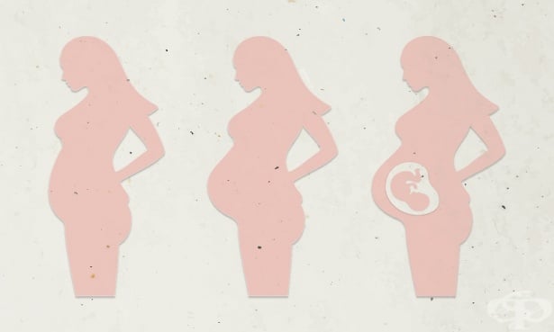 Маргарет Атууд за правото на аборт: Принудителното раждане е робство - изображение
