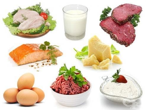 Вижте някои храни, богати на протеини (инфографика) - изображение