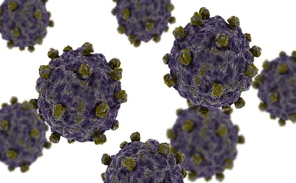 Коксаки-вируси - изображение