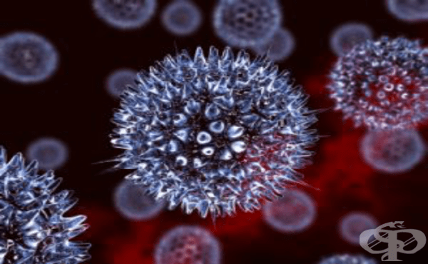       (Virus herpes simplex) - 