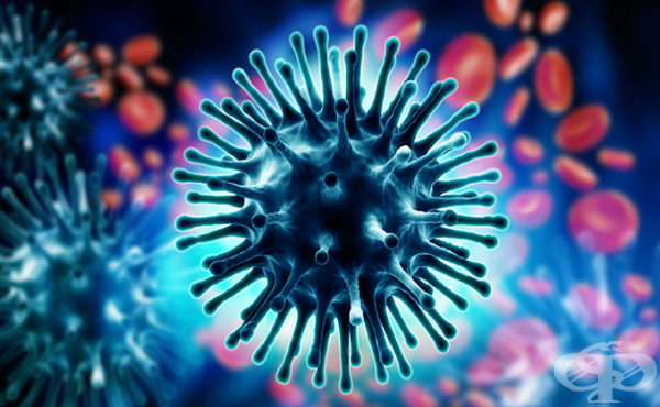 Грипни вируси | Микробиология