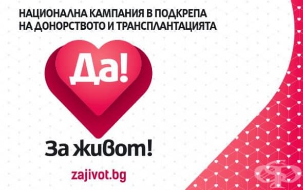 Близки на жена от Варна, изпаднала в мозъчна смърт, решиха да дарят органите й - изображение