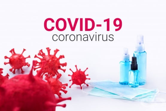 23  2020 .:  1595   COVID-19   9 038 PCR   - 