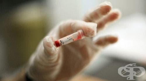 Акцията по кръводаряване бележи успех, Христо Стоичков ще даде старт на кампанията в Ловеч - изображение