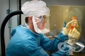 Заведение с китайска храна в Хасково е глобено от Агенцията по безопасност на храните - изображение