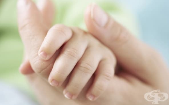 Близнаци са първите проплакали в УМБАЛ ''Дева Мария'' - Бургас за 2017 г. - изображение