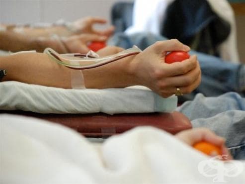 Все повече хора дават съгласието си за донорство - изображение