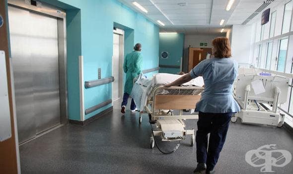В Чили установиха първия случай на заразяване с вируса Зика по полов път - изображение