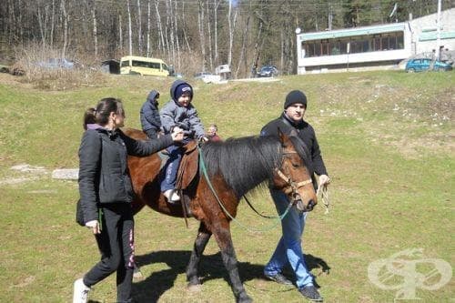 Във Враца се проведе традиционната хипотерапия за деца с аутизъм - изображение