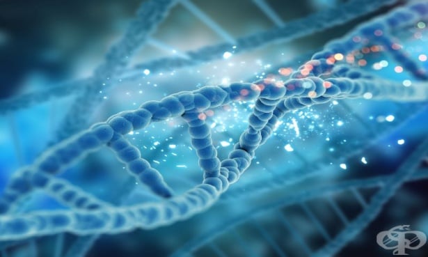 Незабелязан седем десетилетия механизъм съхранява информация в ДНК - изображение