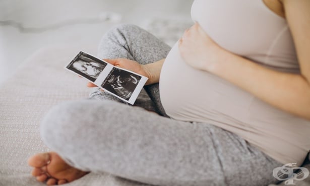 Жена от Алабама, родена с две матки, е бременна с по едно бебе във всяка утроба - изображение