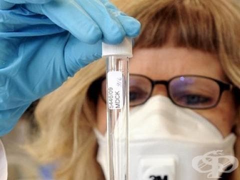 От Здравното министерство предвиждат заболеваемостта от хепатит А да се повишава - изображение