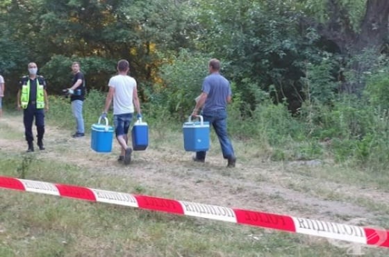 Отравяне с нитрати, нитрити и амониев азот е причинило смъртта на стадото в Димитровград - изображение