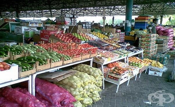 Ще правят модерна лаборатория за контрол на вредните вещества в плодовете и зеленчуците в Кърджали - изображение