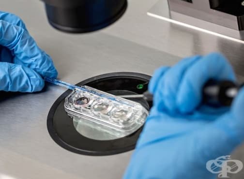 Предлагат нови правила за финансиране на процедурите ин витро - изображение