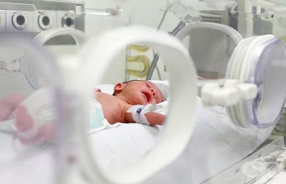 Отбелязваме Световния ден на недоносените бебета - изображение