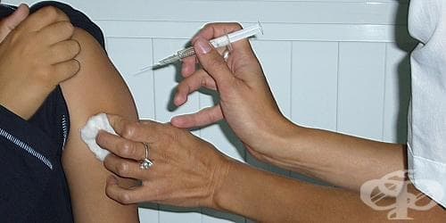 Едва 150 души се ваксинираха срещу грип в Пловдив - изображение