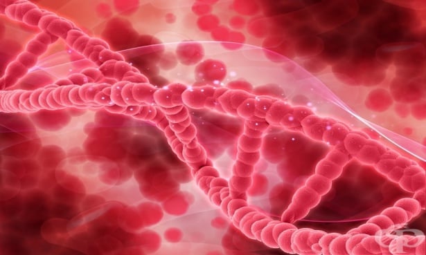 Във Великобритания одобриха генна терапия за лечение на сърповидно-клетъчна анемия и бета-таласемия - изображение
