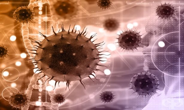 Властите в Индия полагат усилия да ограничат разпространението на вируса Нипа - изображение