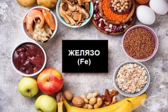 Същност и роля на минерала желязо в човешкото тяло - изображение