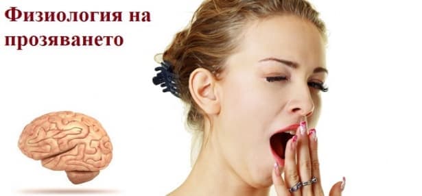 Физиология на прозяването - изображение
