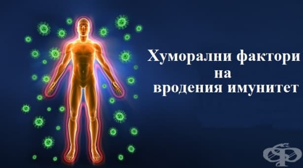 Хуморални фактори на вродения имунитет - изображение