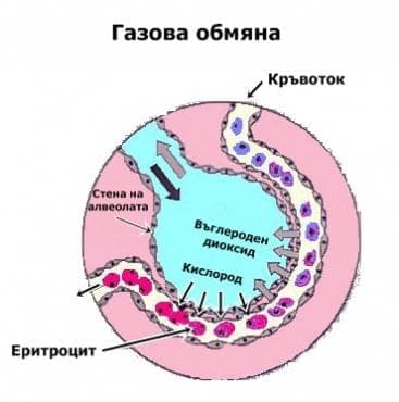Газова обмяна - изображение
