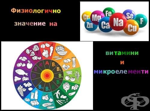 Физиологично значение на витамини и микроелементи - изображение