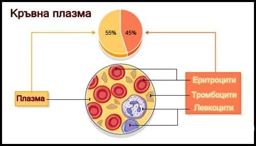 Кръвна плазма - изображение