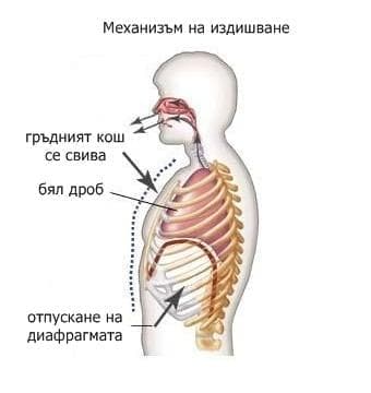 Механика на издишване - изображение