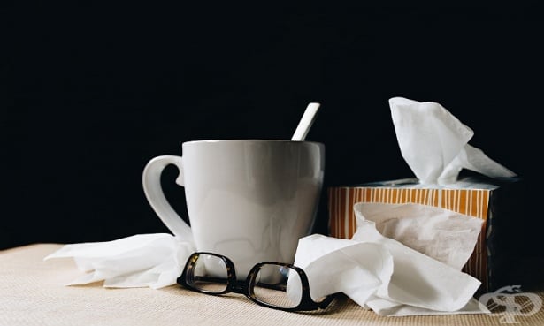 Как да се предпазим от настинка през студените месеци - изображение